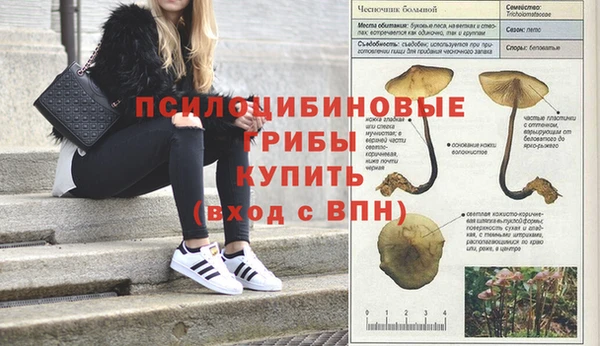 дурь Новодвинск