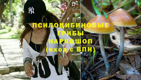 spice Нязепетровск