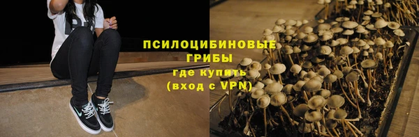 spice Нязепетровск