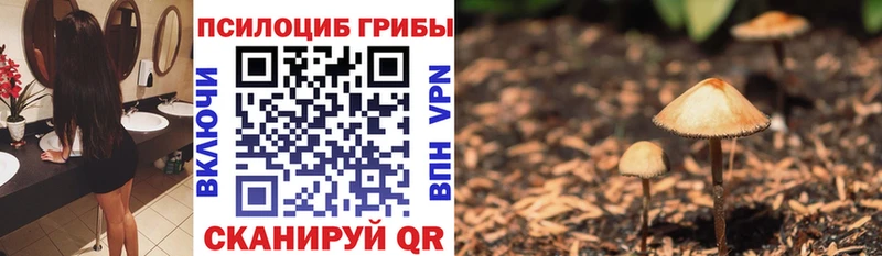 Галлюциногенные грибы MAGIC MUSHROOMS  МЕГА онион  Осташков  наркошоп 