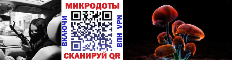 Псилоцибиновые грибы мицелий Осташков